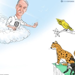 Sem míssil!